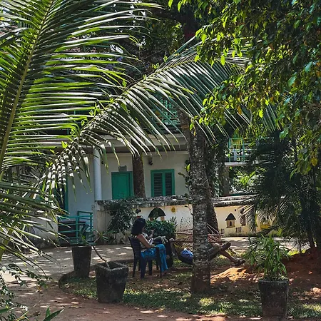 Molly'S Hostel-2